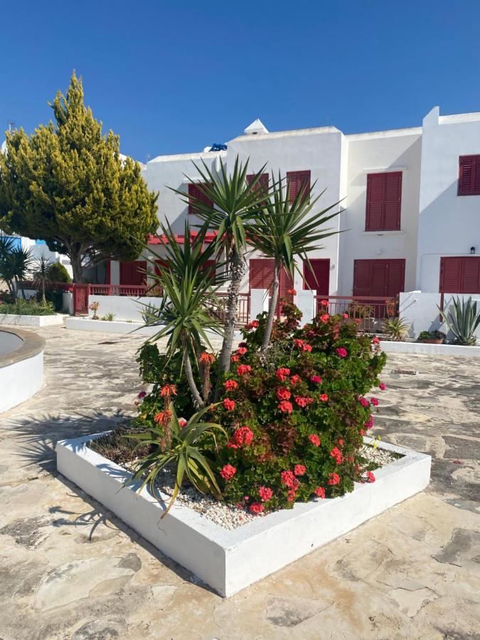 Mediterranean Sunset Apartment Klorakas Bagian luar foto
